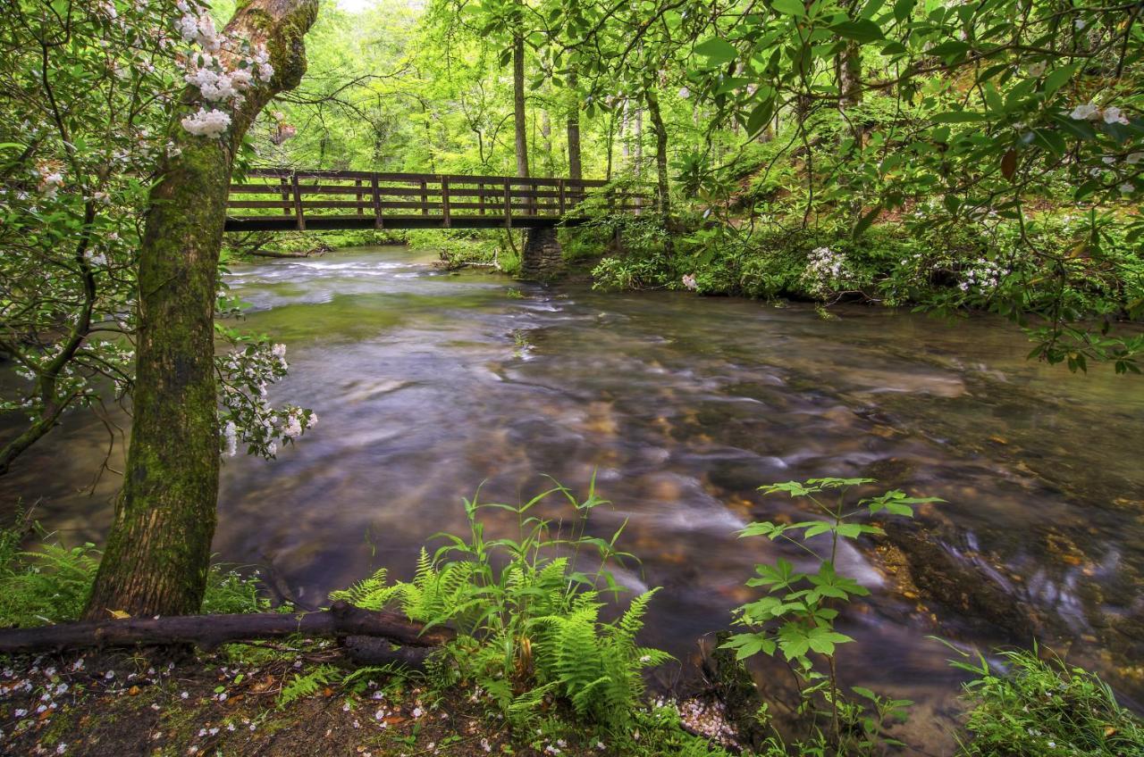 Bear Tracks, 2 Bedrooms, Hot Tub, Fireplace, Wifi, Jetted Tub, Sleeps 6 Gatlinburg Eksteriør billede